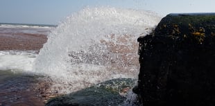 Devon MPs demand urgent sewage action