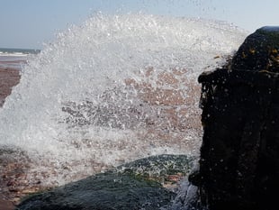 Devon MPs demand urgent sewage action