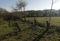 Langdon patients thrive with new skills in environmental conservation