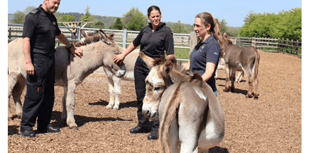 Officers swot up on proper donkey handling at Sidmouth sanctuary 