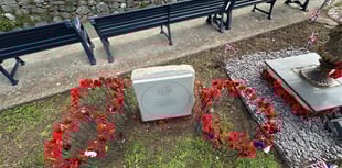 Teignmouth honours VE Day with poppies