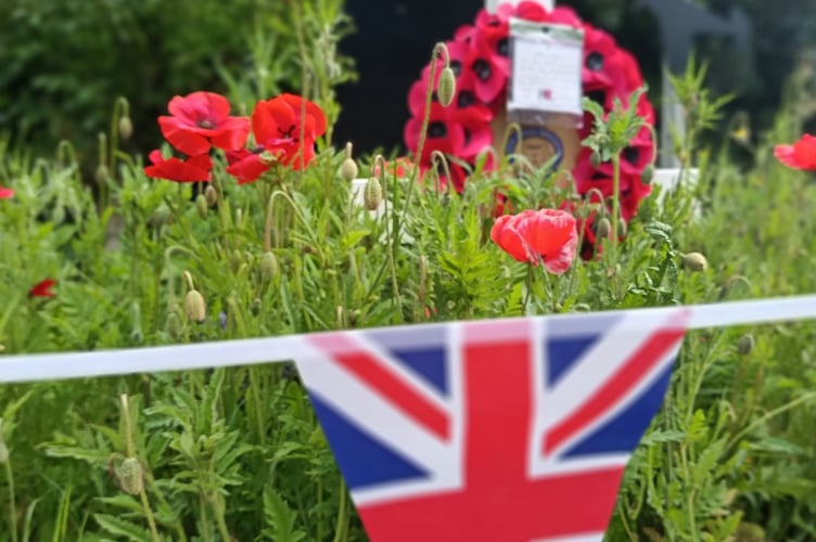 Poppies at Buckfastleigh memorial. Photo Buckfastleigh RBL