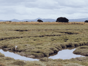 England’s peatlands mapped for first time