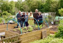 Gardening mental health scheme launched in Dawlish