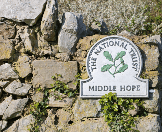 National Trust locations star in The Salt Path 