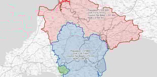 Devon councils need more reform details