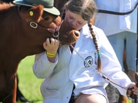 County show unveils new breed competitions