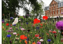 Tell Teignbridge your views on its green spaces and parks