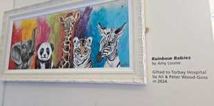 Rainbow Babies painting for Torbay Hospital