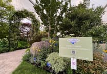 Blue Diamond takes gold at RHS Chelsea