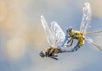 Water company supports charity's 25th anniversary photo competition