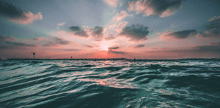 Ocean darkened by a fifth over past twenty years, research shows 
