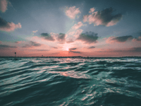 Ocean darkened by a fifth over past twenty years, research shows 