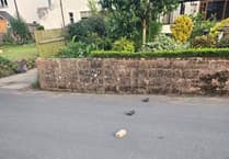 Bricks in road condemned as dangerous