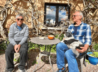  Charity calls for carers to open their homes and hearts