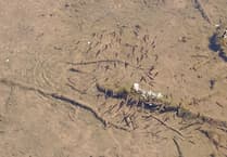 Work continues to clear Dawlish waterway