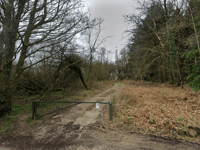 Application for new 5G antennas at Haldon Hill site submitted 