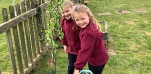 Primary schools enhance outdoor spaces with new trees