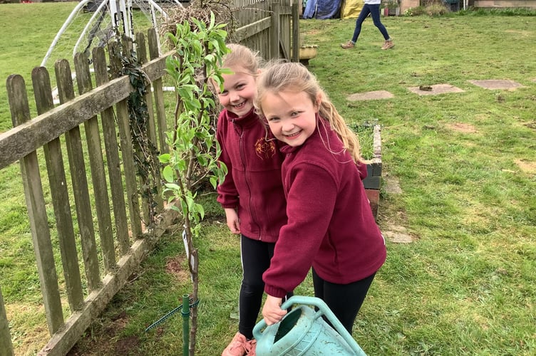 Two children from Kenn C of E Primary School watering one of their new trees. 