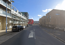 Witnesses sought following Plymouth dog attack and assault