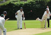 C Division defeats for Ashburton and Chudleigh Cricket Clubs