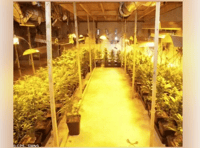 Drug dealer ordered to pay back £10k 
