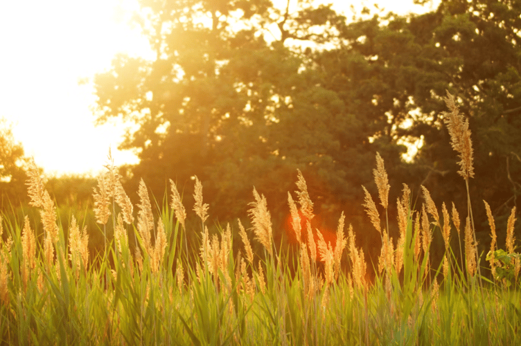 Hot weather stock image 