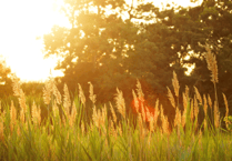 Tips for staying safe as health agency issue heat warning