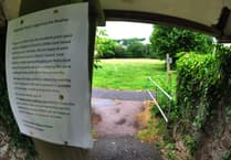 Petition to save popular Dawlish green space