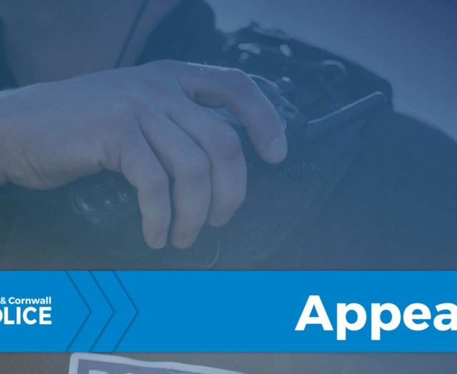 Witnesses sought after vehicles damaged 