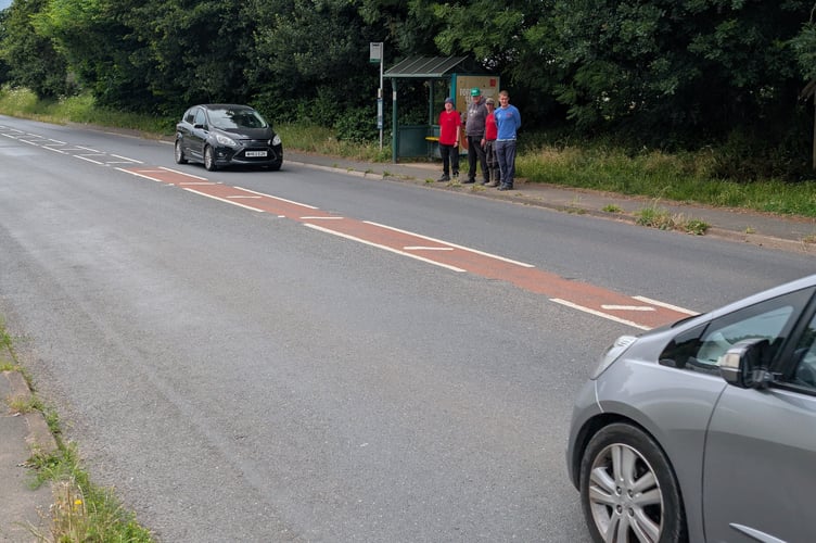 The busy A379 and the bus stop where users of Dawlish Gardens Trust have to cross. Photo Dawlish Gardens Trust 