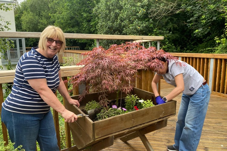 Staff from Templer Ward at Newton Abbot Community Hospital planting donations from The Globe at Chudleigh, winners of Dawlish Water Rotary Mega Quiz. 