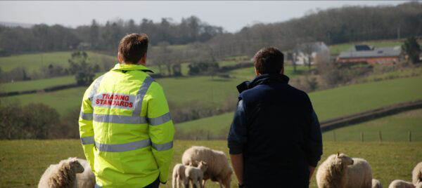 The offences took place across Underdown Farm and East Barton Farm – the farms are adjacent and have approximately 170 cattle.