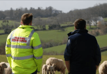 Devon farming family plead guilty to animal welfare offences