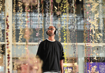 Newton Abbot artist’s fungi soundscape at RAMM
