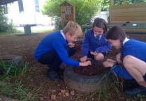 Dawlish children plant wildflowers for wildlife.