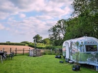 Artist transforms Airstream trailer into eco-friendly retreat 