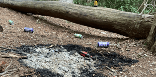 'Take extra care', say fire-fighters as woodland left in state 