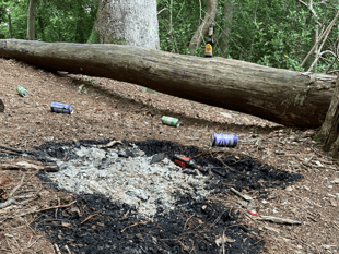 'Take extra care', say fire-fighters as woodland left in state 