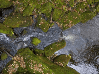 Water company pledges £2 million for community-led initiatives 