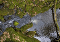 South West Water celebrates 15 years of water quality programme