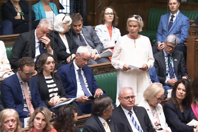 Rachel Gilmour, MP For Tiverton And Minehead, in Parliament