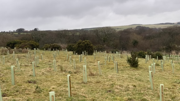 South West Water has now committed to planting a further 300,000 trees from 2025-2030.