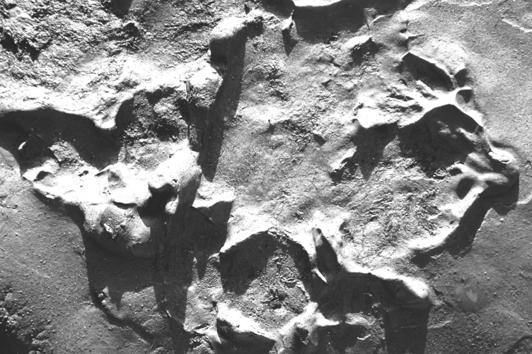 The exhibition features abstract images of shoreline structures, textures and forms