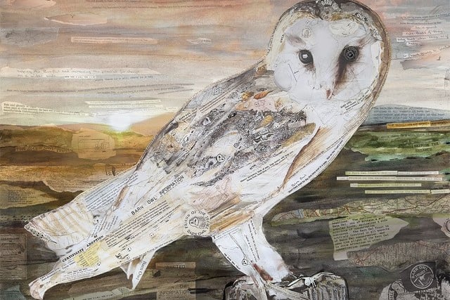 Barn Owl art marks charity milestone