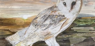 Barn Owl art marks charity milestone