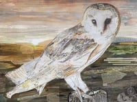 Barn Owl art marks charity milestone