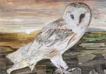 Celebrate Barn Owl Trust's 40th with art