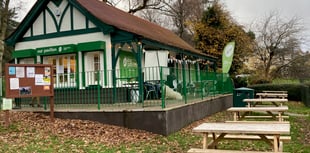 Park to host creative tree trail as part of international festival