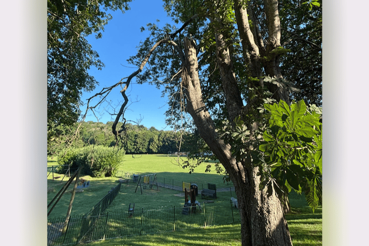 Baker's Park, Newton Abbot